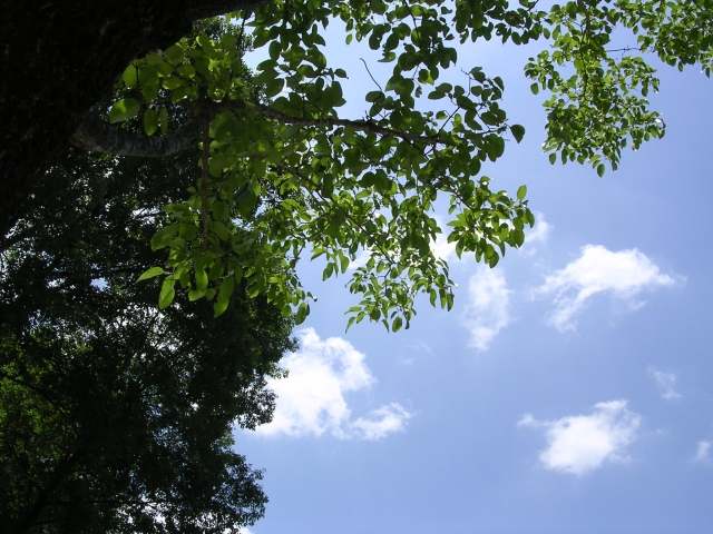 2021年初夏号（４）