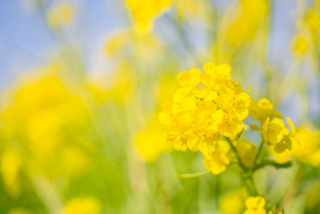 けやき通信　2022年 立夏号