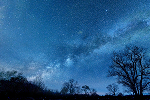 けやき通信　2022年 七夜月号