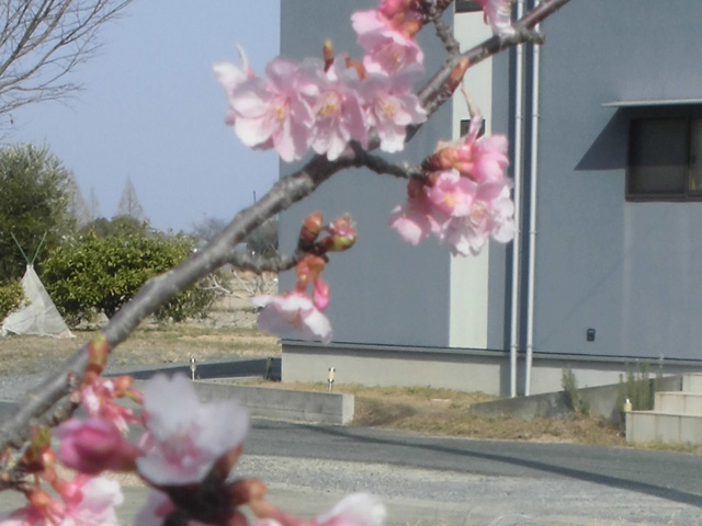 けやき通信　2023年４月号